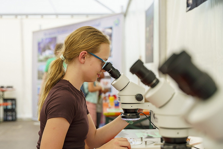 Eine Schülerin experimentiert bei einem Workshop von Explore Science in Mannheim und untersucht eine Flüssigkeit unter dem Mikroskop.