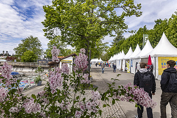 Explore Science in Friedrichshafen – direkt am Bodensee.